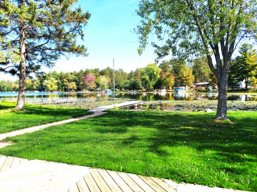 N5406 Lily Pad Lane